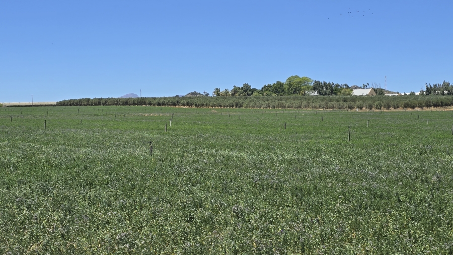 Commercial Property for Sale in Paarl Rural Western Cape